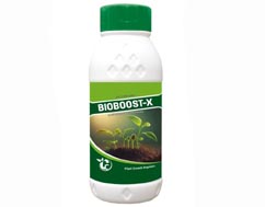BioBoost Root Enhancer