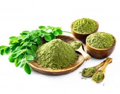 Moringa Leaf Powder