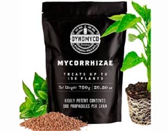 Mycorrhizal Inoculant