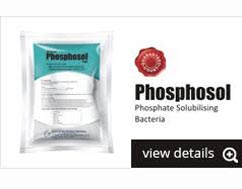 PhosphoSol Microbial Mix